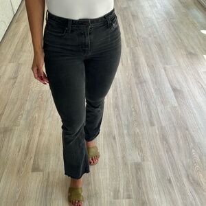 Paige Claudine pants